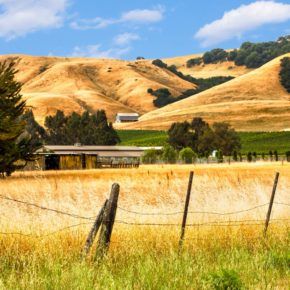 Scene looking out across northern california countryside