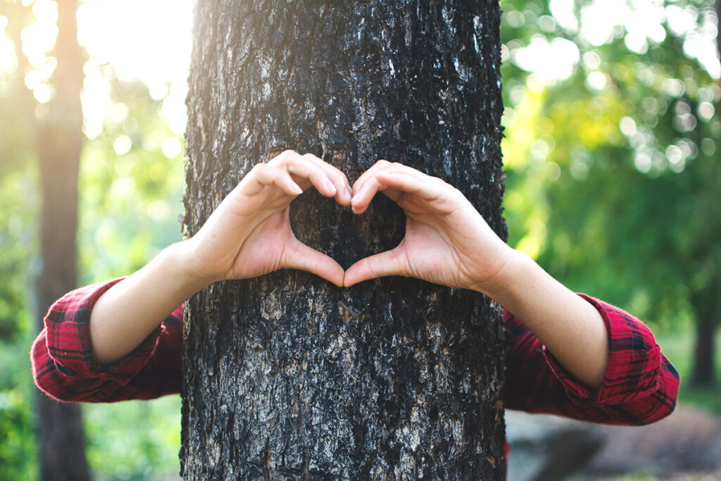 Two arms hugging a tree, making the shape of a heart in front of it, with leaves in the background