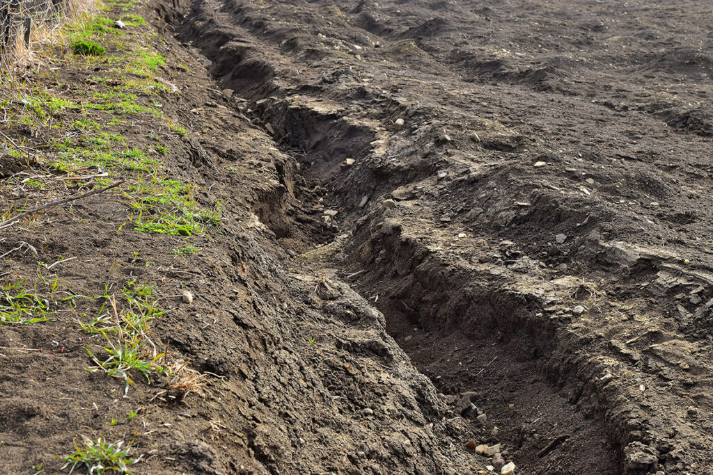 A close up shot of soil erosion