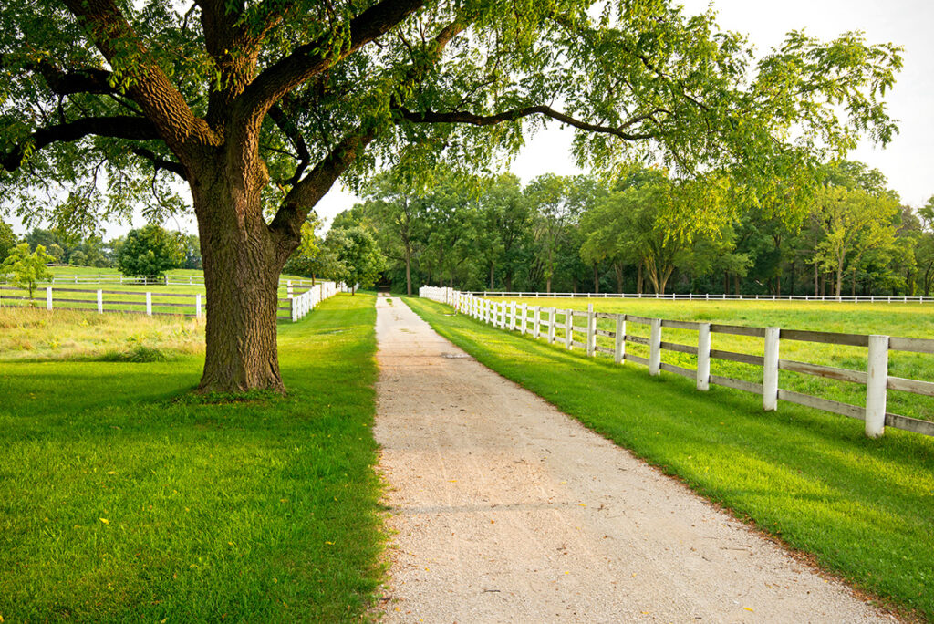 A tree on a spacious property, surrounded by green grass and a white fence, showing the concept of how trees increase property value