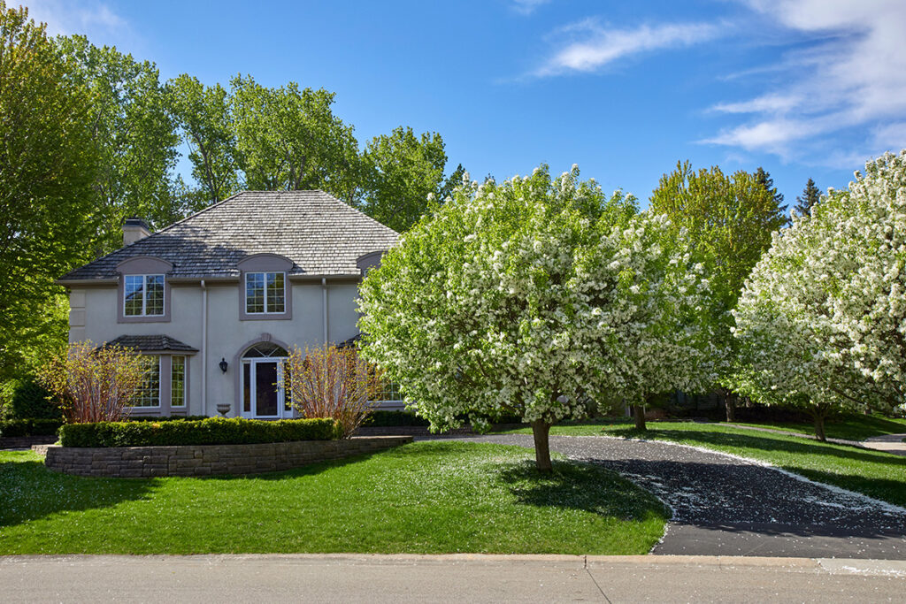 Flowering trees in a front yard on a clear day, providing shade and increasing property value