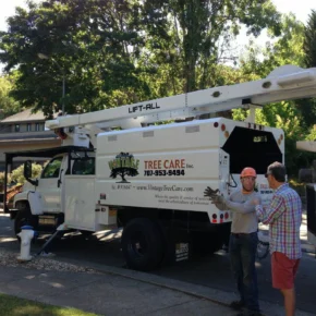 Fred Frey, an ISA Certified Arborist and owner of Vintage Tree Care, speaking to a customer/ Sonoma County home owner while they stand in front of a white Vintage Tree Care branded work truck.