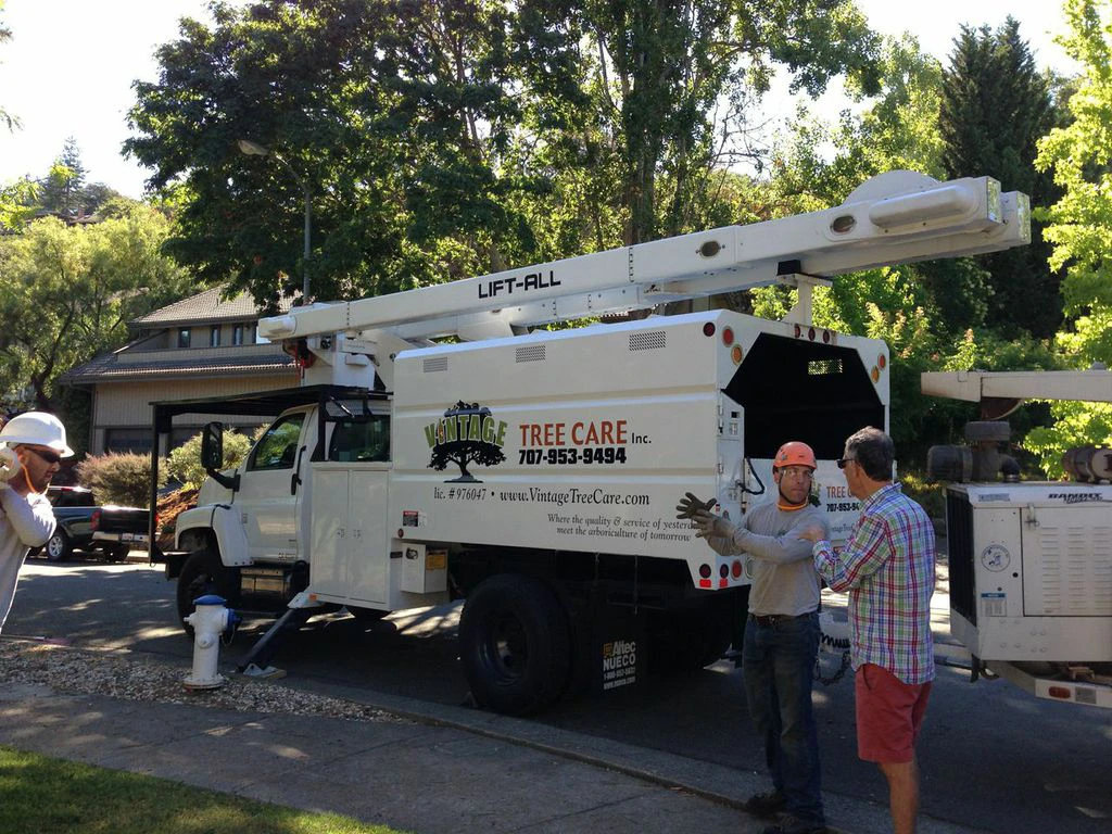 Fred Frey, an ISA Certified Arborist and owner of Vintage Tree Care, speaking to a customer/ Sonoma County home owner while they stand in front of a white Vintage Tree Care branded work truck.